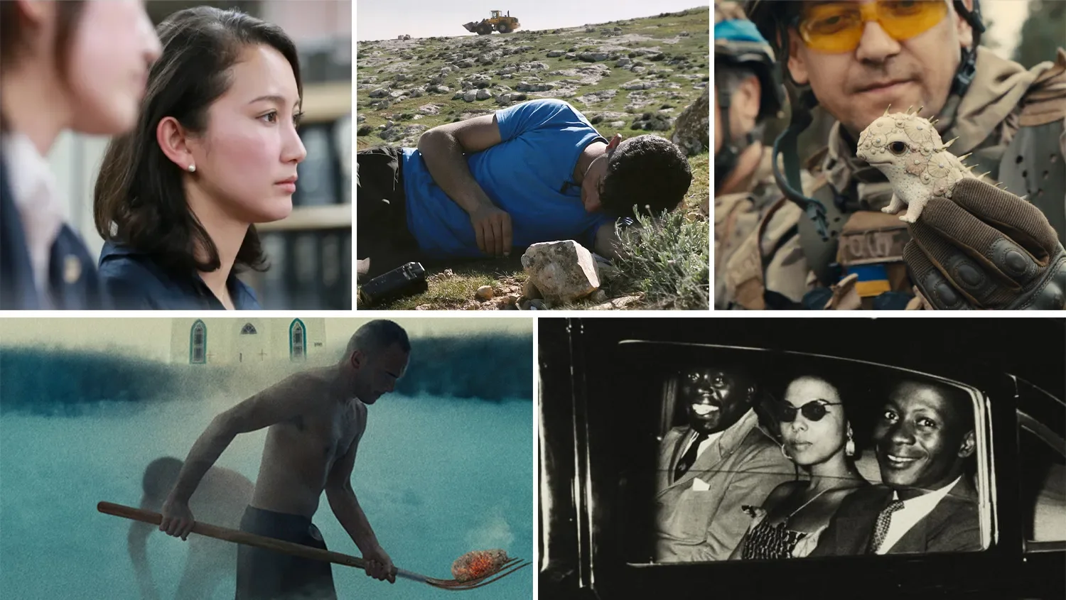 Documentales Fascinantes
